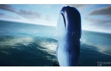 大航海时代：起源的开PV韩服于8月23日上线