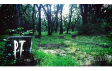 科乐美前员工：下架寂静岭P.T.游戏这事挺尴尬