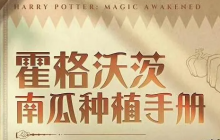 《哈利波特魔法觉醒》你也想拥有一颗「惊奇南瓜」吗?