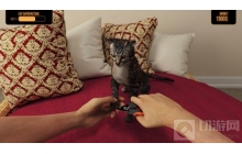 《宠物旅馆》免费试玩，游戏里也能撸可爱的小动物