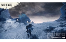 狂野之心开发者称认为自家游戏可与怪物猎人比较