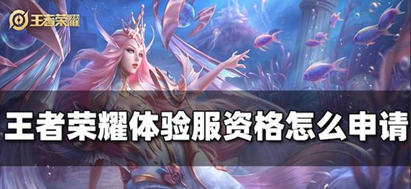 王者荣耀体验服的资格应该怎么去申请？