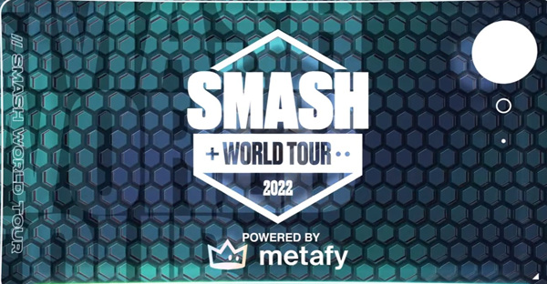 任天堂发布声明 否认喊停《大乱斗》世界巡回赛总决赛