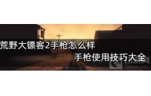 《荒野大镖客2》 这几把手枪感觉还不错的