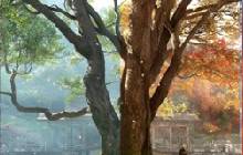 刺客信条影全新预告流出，浓厚的日本封建氛围