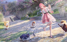 无限暖暖体力分配指南 无限暖暖如何合理的使用体力值