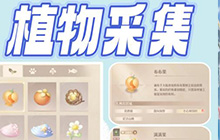 无限暖暖植物分布地点图鉴大全 植物都在什么地方收集