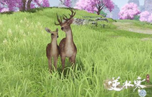 逆水寒手游新地图桃花坞地图怎么样 桃花坞新地图好玩吗