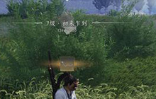 燕云十六声醒愁玉桂枝在什么地方 怎么打到飞着的鸟